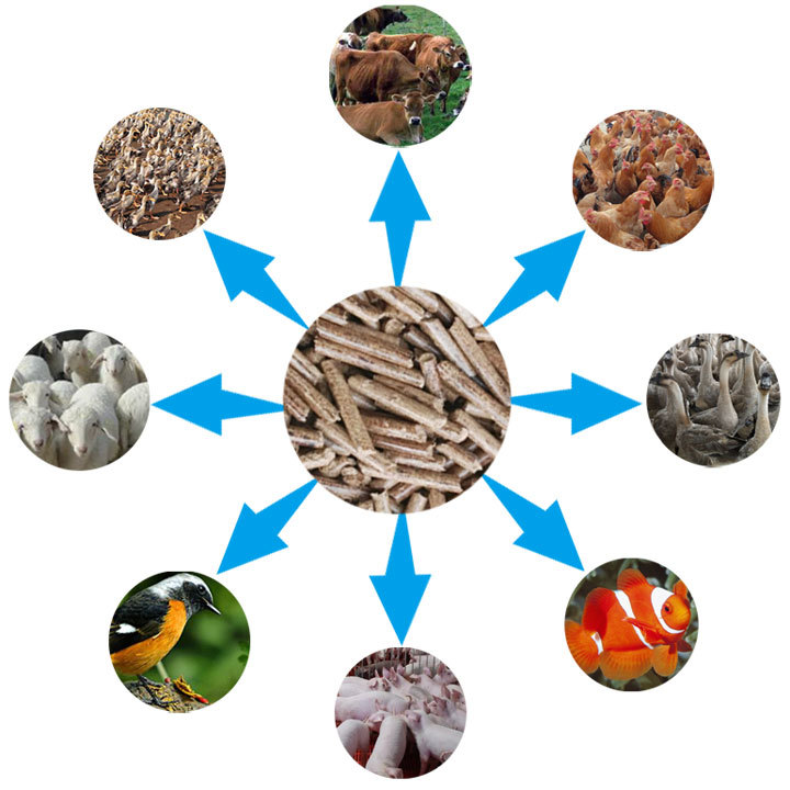 秸稈飼料顆粒機(jī)的應(yīng)用 秸稈飼料顆粒機(jī)的應(yīng)用