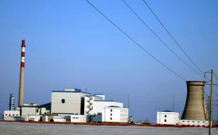 蓬勃發展的生物質電廠 蓬勃發展的生物質電廠