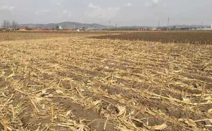 秸稈粉碎后還田.jpg 秸稈粉碎后還田.jpg