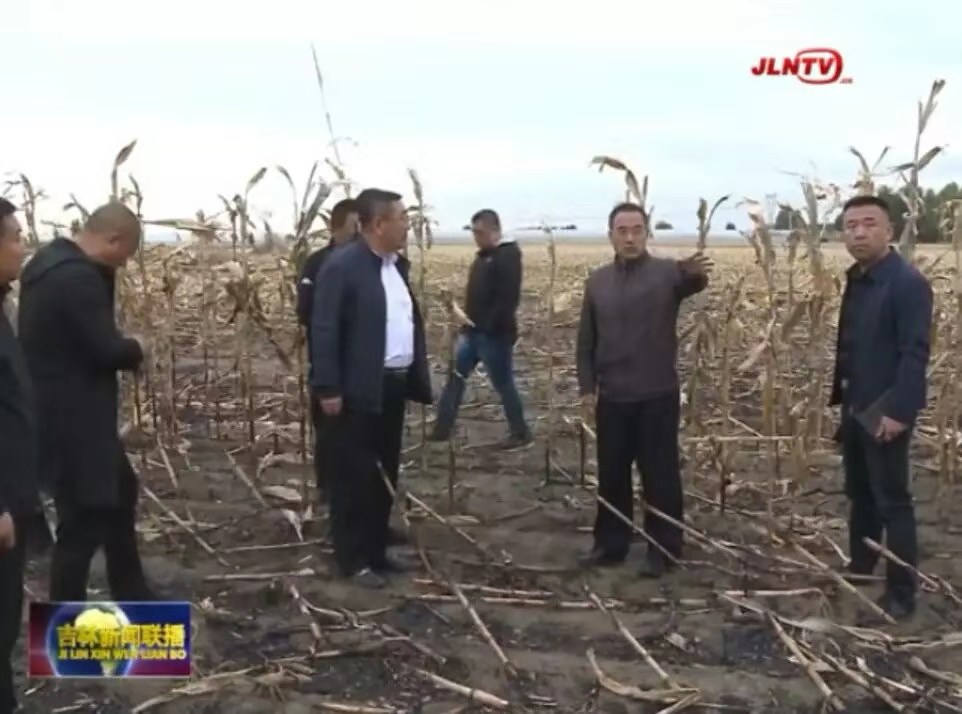 相關政府部門進行調查 相關政府部門進行調查