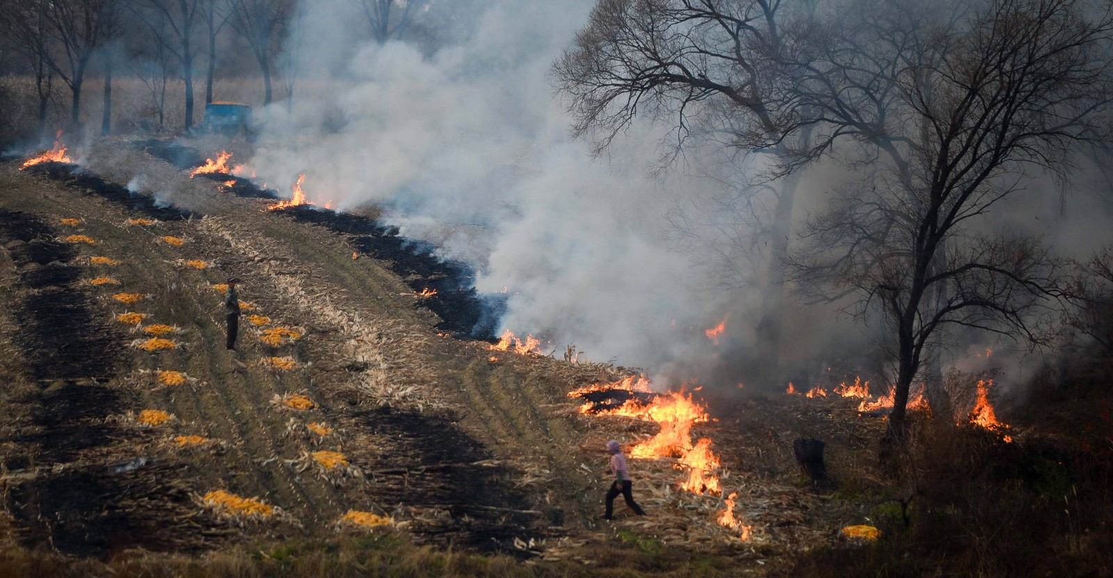 農民晚上偷燒秸稈 農民晚上偷燒秸稈