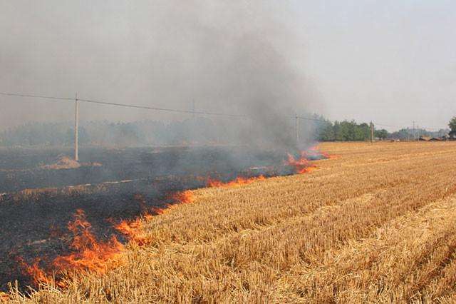 秸稈焚燒污染大氣 秸稈焚燒污染大氣