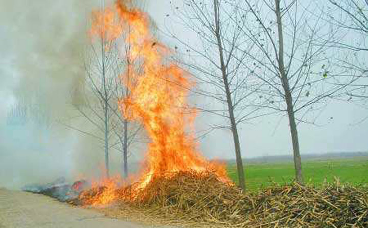 秸稈焚燒污染環境 秸稈焚燒污染環境