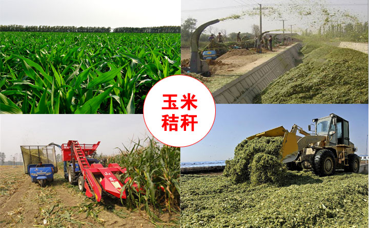 玉米秸稈綜合利用 玉米秸稈綜合利用