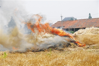 秸稈焚燒屢禁不止引發(fā)安全隱患 秸稈焚燒屢禁不止引發(fā)安全隱患