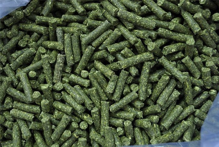 苜蓿顆粒.jpg 苜蓿顆粒.jpg