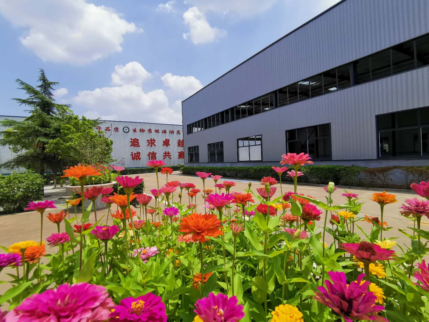 顆粒機生產廠家 顆粒機生產廠家