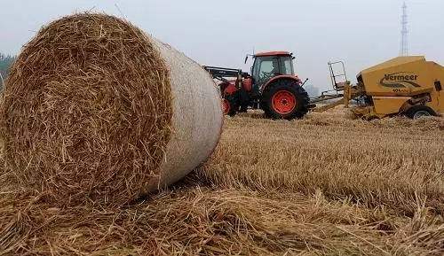 生物質(zhì)資源綜合利用 生物質(zhì)資源綜合利用
