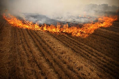 秸稈焚燒屢禁不止 秸稈焚燒屢禁不止