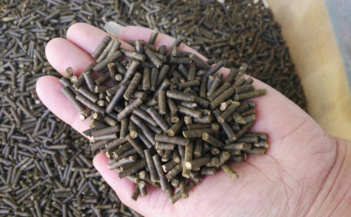 南陽秸稈顆粒機生產的成型顆粒.jpg 南陽秸稈顆粒機生產的成型顆粒.jpg