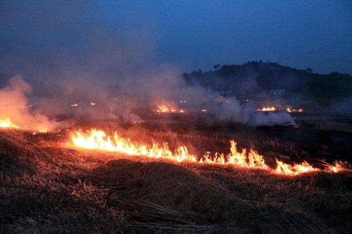 焚燒秸稈造成環境污染.jpg 焚燒秸稈造成環境污染.jpg