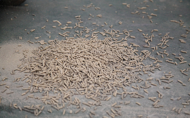 山東秸稈飼料顆粒機顆粒.jpg 山東秸稈飼料顆粒機顆粒.jpg