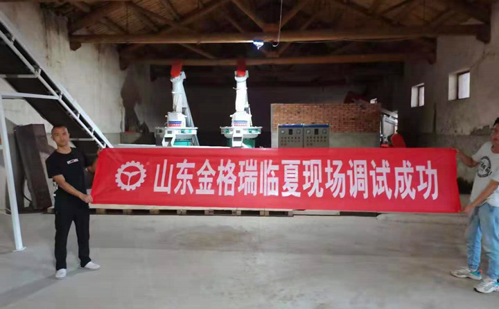 甘肅臨夏年產(chǎn)15000噸木屑造粒機生產(chǎn)線調試完成.jpg