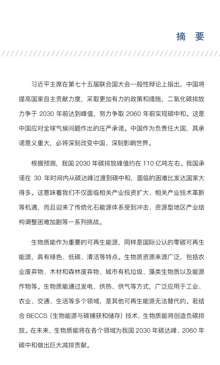 3060零碳生物質(zhì)能發(fā)展?jié)摿λ{(lán)皮書(shū).jpg 3060零碳生物質(zhì)能發(fā)展?jié)摿λ{(lán)皮書(shū).jpg